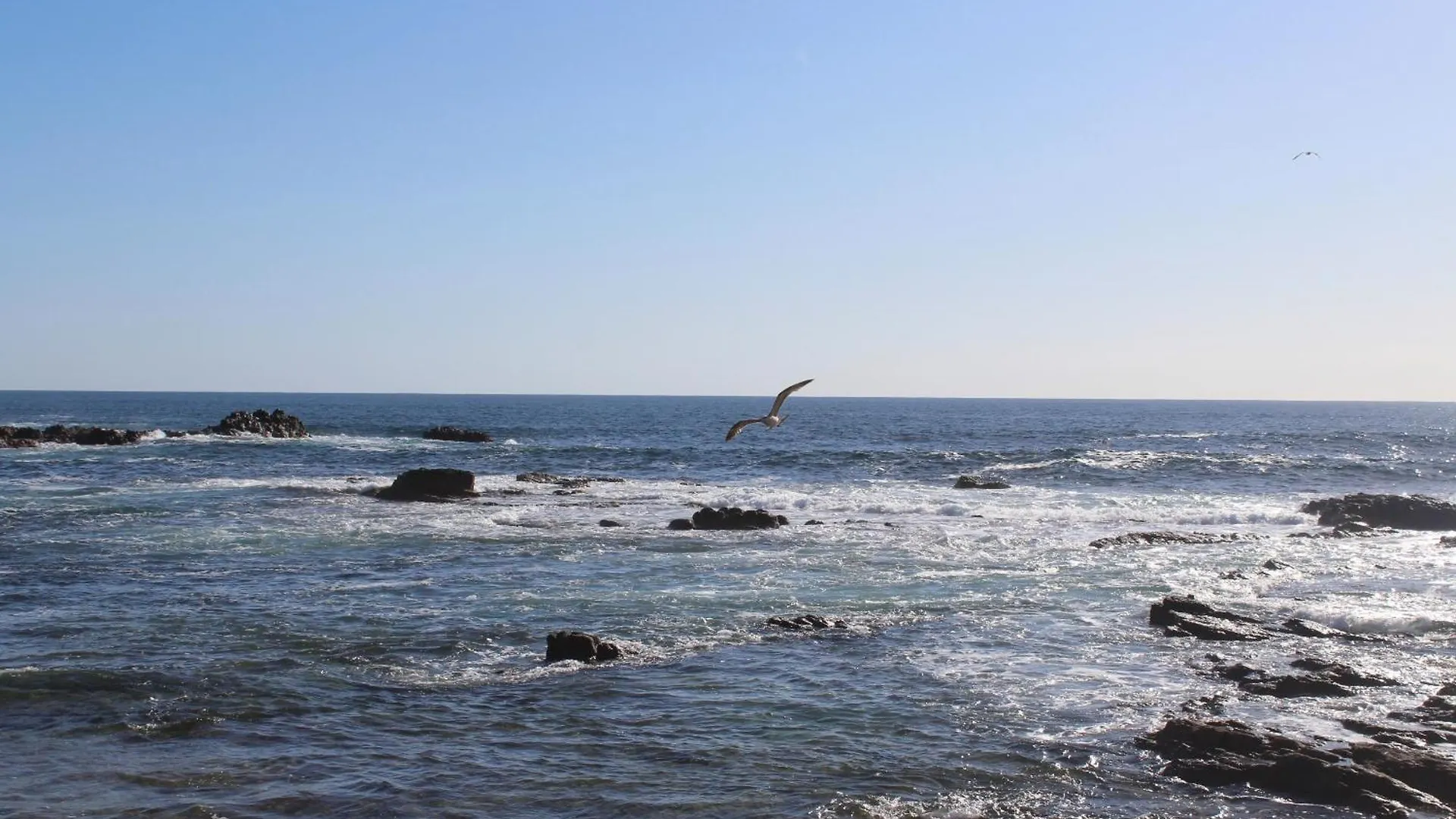 Vitaminsea El Cotillo By Privilege Bay Spain